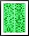 DNA Sequence, a Non- Photosynthetic Algae Framed Art Poster Print by David M. Dennis, 31x39
