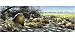After Breakfast by Renato Casaro poster print,39.2 in. x 19.5 in.