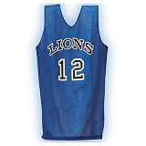 Team Print Youth Custom-Colors Tricot Mesh Reversible Jersey