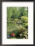 Japanese Garden, WAshington Park Arboretum, WA Framed Photographic Poster Print by Mark Windom, 17x21