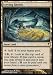 Scrying Sheets (Magic the Gathering : Coldsnap #149 Rare)