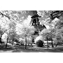 Afternoon in Paris (Eiffel Tower, B/W) Art Poster Print - 36x24