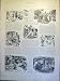 Boyd Sketches Peace War Pacific Taviuni Memoranda 1900