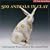 500 Animals in Clay: Contemporary Expressions of the Animal Form (500 Series)