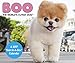 Boo Year-In-A-Box Calendar (2017)