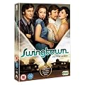 Swingtown - The First Season [DVD]