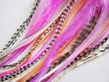 Glamour Kitten Pink and Hair Extension