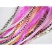 Glamour Kitten Pink and Black Meow!!! - 4-12 Inches -Feather Hair Extension