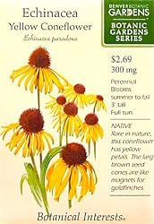 Echinacea Yellow Coneflower Botanic Gardens Series Seeds 35 Seeds