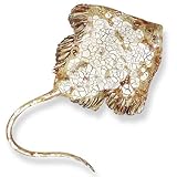 Stingray Ceramic Wall Sculpture