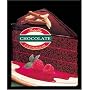 Totally Chocolate Cookbook (Totally Cookbooks)