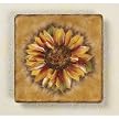 Tuscan Sunflower Salad Plate Set of 4
