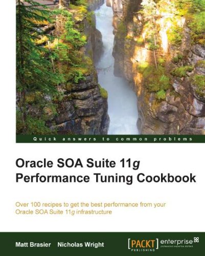 Oracle SOA Suite 11g Performance Tuning Cookbook