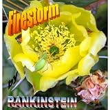 Firestorm