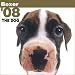   - Boxer The Dog 2008 Wall Calendar