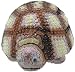 Tommy Tortoise Money Box