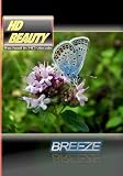 HD BEAUTY 2 / BREEZE
