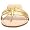 DV by Dolce Vita Women's Daisy-6 Thong