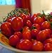 Grape Gabrielle Cherry Tomato - 20 Seeds