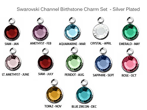 12pc Set of Swarovski Birthstone Channel Charms Silver Plated