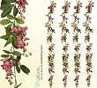 Four 6' Artificial Wisteria Garlands Silk Flowers _Mauve