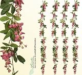 Four 6' Artificial Wisteria Garlands Silk Flowers _Mauve