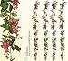 Four 6' Artificial Wisteria Garlands Silk Flowers _Mauve