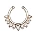 CrazyPiercing Fake Nose Ring Septum Piercing Jewelry, Faux Clip On Septum Nose Rings Hoop for Women Girls (1Pcs Gold Nose Ring)