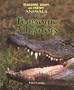 Fearsome Alligators (Landau, Elaine. Fearsome, Scary, and Creepy Animals.)