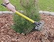 Deluxe Hand Rake