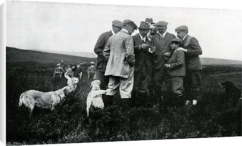 Canvas Prints of Grouse shoot from Country Life 