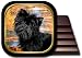 Affenpinscher Coaster Set