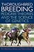 Thoroughbred Breeding: Pedigree Theories and the Science of Genetics