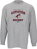 Phoenix Coyotes Stacked Logo Long Sleeve T-Shirt
