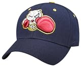 Bradford ''FIGHTING SQUIRREL'' Navy DHS Hat