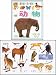 DK's My First Phonetics Book - Animals