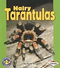 Hairy Tarantulas (Pull Ahead Books)