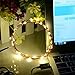 YINUO LIGHT LED SopoTek 13ft 40 LEDS Starry Lights Fairy Lights Copper LED Lights Strings AA Battery Powered Ultra Thin String Wire 40 Leds Warm white