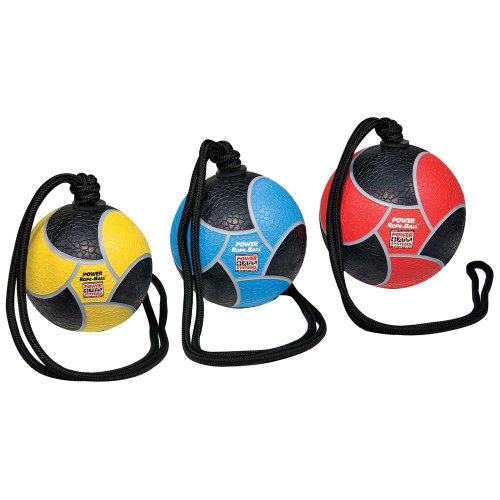 Power Systems Power Rope Medicine Ball (Orange, 8-Pounds) On Sale