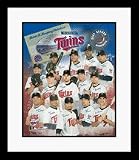 2007 Minnesota Twins MLB Team Collage Framed 8 x 10 Photograph
