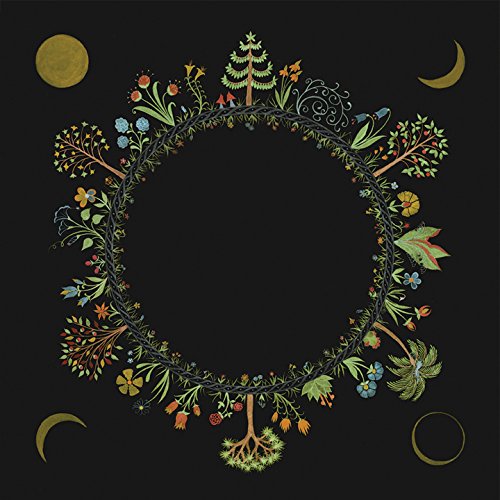 Album Art for Wheel by LAURA STEVENSON