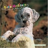 Let's Meditate 2008 Wall Calendar