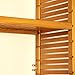 Adjustable Shelf (Set of 2) Finish: Red Mahogany