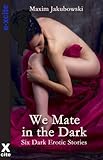 We mate in the dark : dark erotic stories