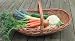Beautiful Wicker Fruit, Flower & Vegetable Garden Trug Basket
