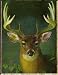 Micro Throw Hunting Theme, Buck Deer