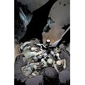 Batman - The Court of Owls (Vol. 1)