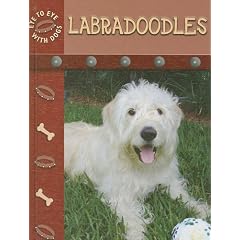 Labradoodles (Eye to Eye With Dogs)