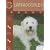 Labradoodles (Eye to Eye With Dogs)