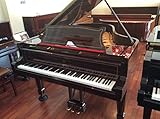 Steinway&Sons（スタインウェイ） Model A in maccasar-ivoryグランドピアノ